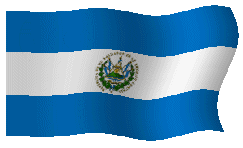 Guatemalan flag waving