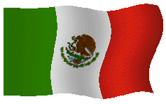 Mexican flag waving