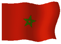 Finish flag waving