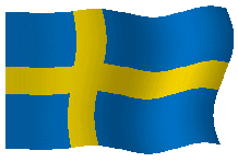Egyptian flag waving